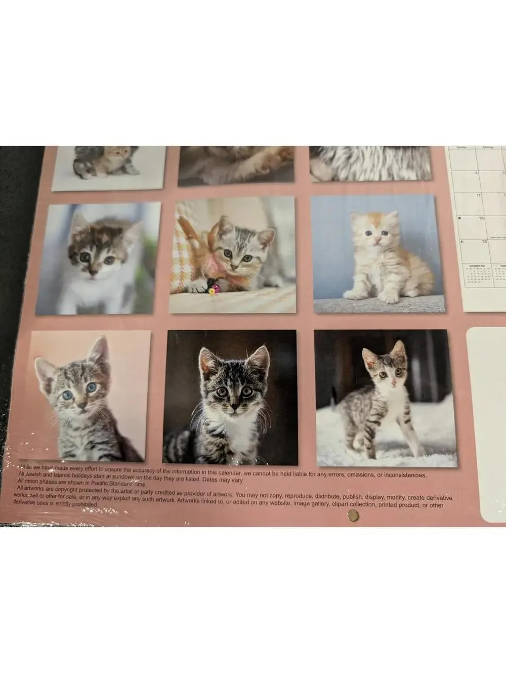 2026 Kittens 12-Month Wall Calendar - 12